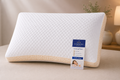 Somnera Luxury Cooling Pillow Set
